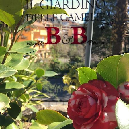 B&B Il Giardino Delle Camelie 팔레스트리나 외부 사진