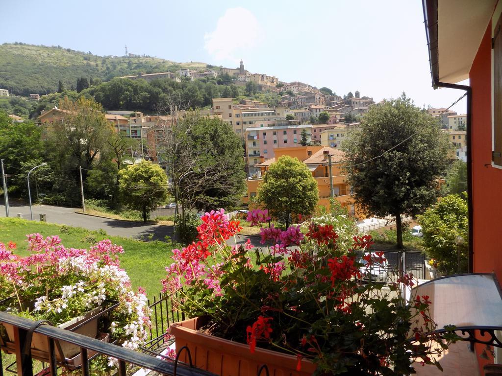 B&B Il Giardino Delle Camelie 팔레스트리나 외부 사진