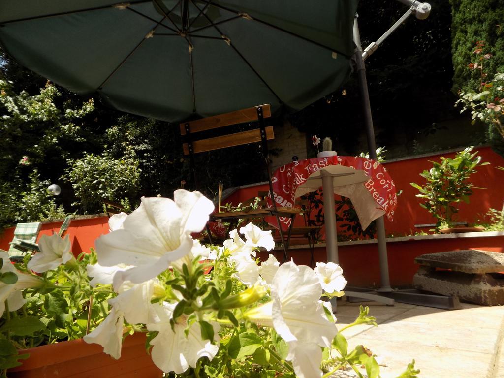 B&B Il Giardino Delle Camelie 팔레스트리나 외부 사진