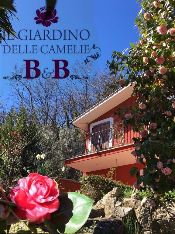 B&B Il Giardino Delle Camelie 팔레스트리나 외부 사진