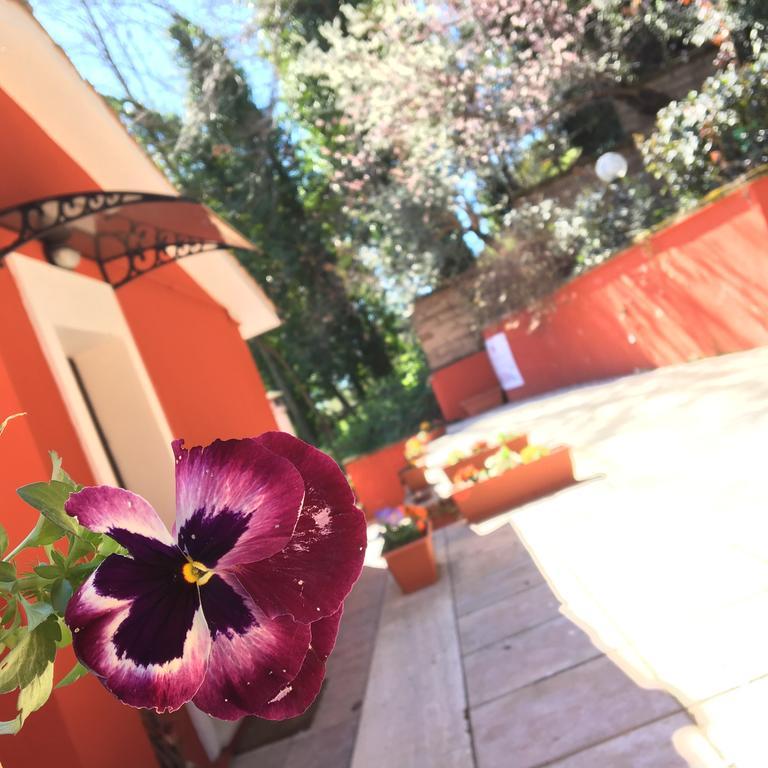 B&B Il Giardino Delle Camelie 팔레스트리나 외부 사진