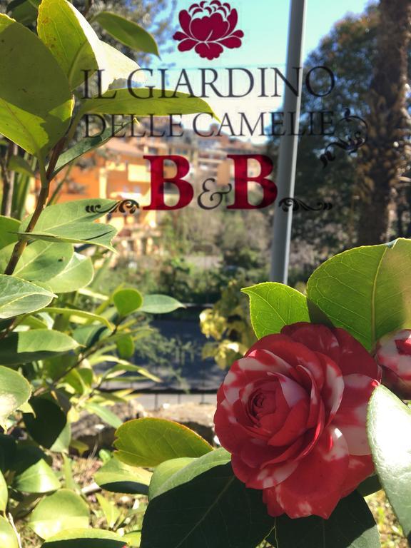 B&B Il Giardino Delle Camelie 팔레스트리나 외부 사진