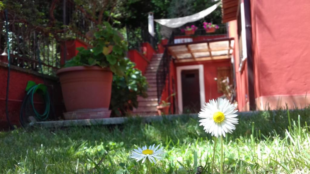 B&B Il Giardino Delle Camelie 팔레스트리나 외부 사진