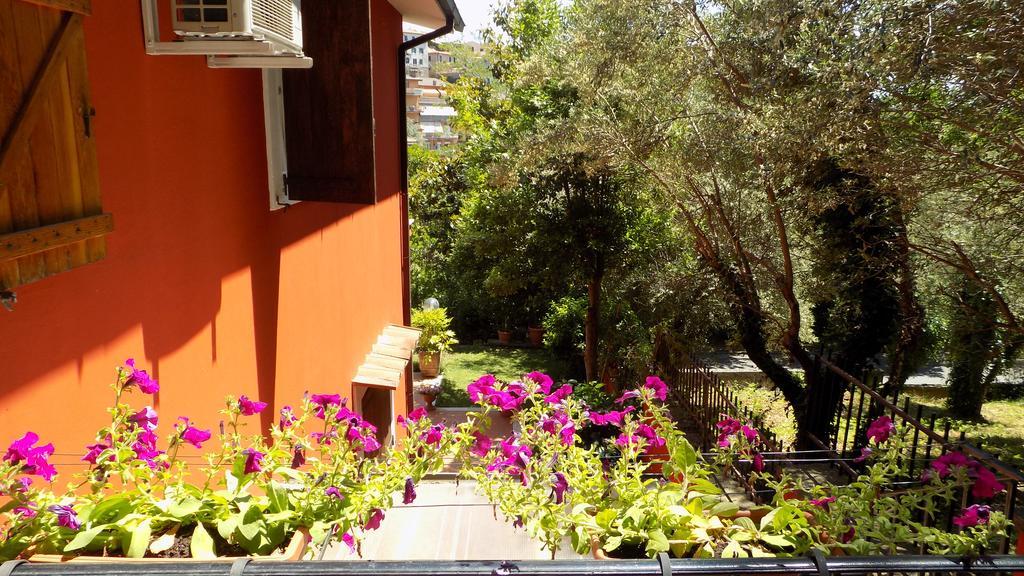 B&B Il Giardino Delle Camelie 팔레스트리나 외부 사진